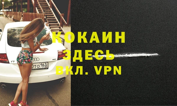 ПСИЛОЦИБИНОВЫЕ ГРИБЫ Няндома