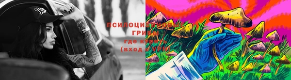 мескалин Осинники