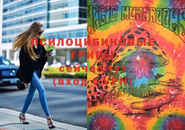 ПСИЛОЦИБИНОВЫЕ ГРИБЫ Няндома