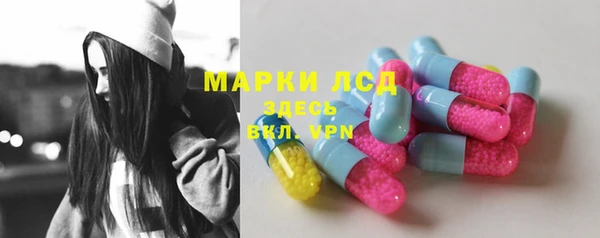 сатива Нязепетровск