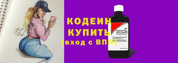 молекула духа Нягань
