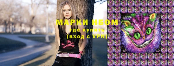 ПСИЛОЦИБИНОВЫЕ ГРИБЫ Няндома