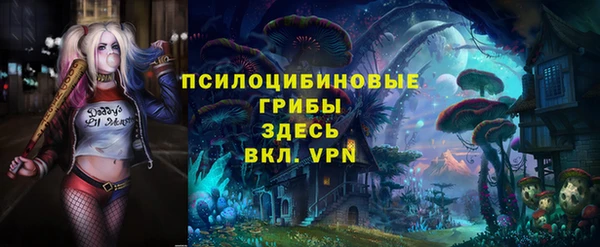 мескалин Осинники