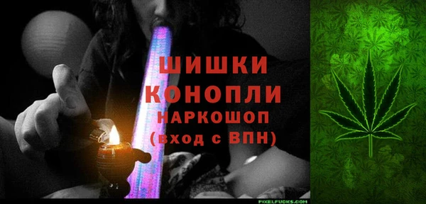 сатива Нязепетровск