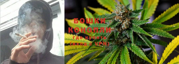 ПСИЛОЦИБИНОВЫЕ ГРИБЫ Няндома