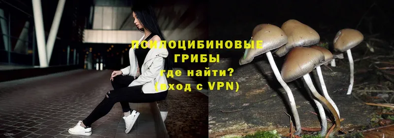 кракен сайт  магазин продажи наркотиков  Баксан  Псилоцибиновые грибы GOLDEN TEACHER 