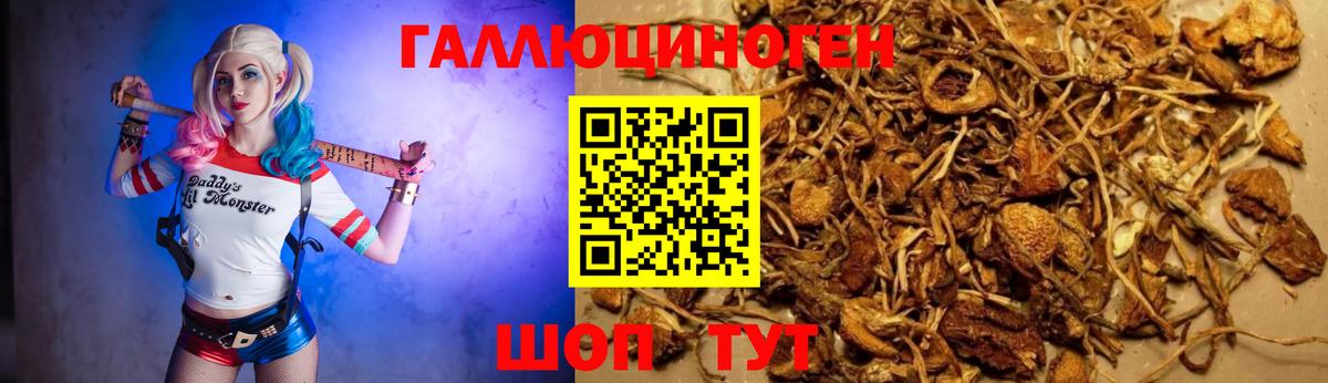 Галлюциногенные грибы мицелий Баксан